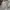 The North Face Futurist Track jacket Pria tan photo 1