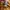 The North Face Futurist Track jacket Pria tan photo 6