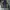 Adidas Sportswear Suit Pria navy orange photo 6