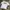 Streetwear T-shirt Pria white photo 1