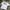 Streetwear T-shirt Pria White