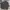 New Balance Sportswear Windbreaker Pria brown photo 1