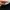 Nike Streetwear Sportswear Hat Pria multicolor photo 4