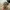 Lafuma Streetwear Sportswear Hat Pria multicolor photo 4