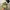Lafuma Streetwear Sportswear Hat Pria multicolor photo 1