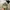 Lafuma Streetwear Sportswear Hat Pria Multicolor
