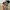 Lafuma Streetwear Sportswear Hat Pria multicolor photo 5