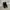 Converse Emo Casual Sneakers Pria black photo 2