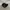 Converse Emo Casual Sneakers Pria black photo 1