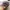 Mammut Streetwear Sportswear Hat Pria multicolor photo 3