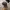 Mammut Streetwear Sportswear Hat Pria multicolor photo 1