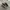 Puma Casual Sneakers Pria black gray photo 1