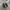 Puma Casual Sneakers Pria black gray photo 4