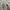 Maison Margiela Luxury Casual Sneakers Wanita white photo 6