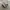Maison Margiela Luxury Casual Sneakers Wanita white photo 1