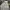 Streetwear Hoody Pria gray photo 2