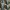 Levi's Streetwear Biker Jeans Pria white blue photo 1