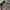 Carhartt Casual Casual shirt Pria gray photo 4