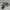 Nike Casual Sneakers Pria green gray photo 1