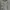 Mayoutfit Minimalist Shirt Dress Wanita Gray