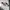 New Balance Streetwear Sportswear Sneakers Pria cream photo 4