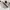 New Balance Streetwear Sportswear Sneakers Pria cream photo 3
