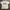 Vintage Y2K T-shirt Pria white photo 1