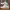 Nike Air Jordan Casual Sneakers Pria white photo 1