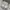Carhartt Streetwear Skater Sweatshirt Pria gray photo 3