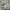Andersson Bell Y2K Casual Denim jacket Pria white photo 6