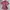 Beanpole Vintage Y2K Blouse Wanita Pink