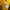 STYLENANDA Vintage Reworked Crop top Wanita yellow photo 3