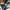 Casual Stroller Kids white black photo 1