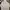Nike Streetwear Sportswear Hoody Pria Gray