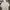 Champion Streetwear Skater Hoody Pria gray photo 1