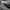 New Balance Gorpcore Casual Sneakers Pria black gray photo 2