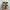Salomon Casual Sneakers Pria tan brown photo 4