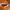 Oakley Avant Garde Casual Sunglass Pria black photo 1