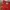 New Balance Streetwear Bomber jacket Pria white red photo 1