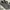 New Balance Casual Sneakers Pria gray photo 1