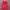 Nike Streetwear Y2K Windbreaker Pria multicolor photo 2
