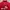 Nike Streetwear Y2K Windbreaker Pria red photo 3