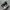 Asics Streetwear Sportswear Sneakers Pria silver photo 1