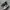 Asics Streetwear Sportswear Sneakers Pria Silver
