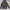 Dickies Streetwear Casual Hoody Pria black photo 1