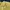 Minimalist Casual Crop top Wanita yellow photo 3
