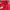 Adidas Sportswear Casual Track jacket Pria red photo 2