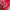 Adidas Sportswear Casual Track jacket Pria red photo 3
