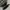 Converse Biker Casual Sneakers Pria black cream photo 2