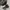 Converse Biker Casual Sneakers Pria black cream photo 1